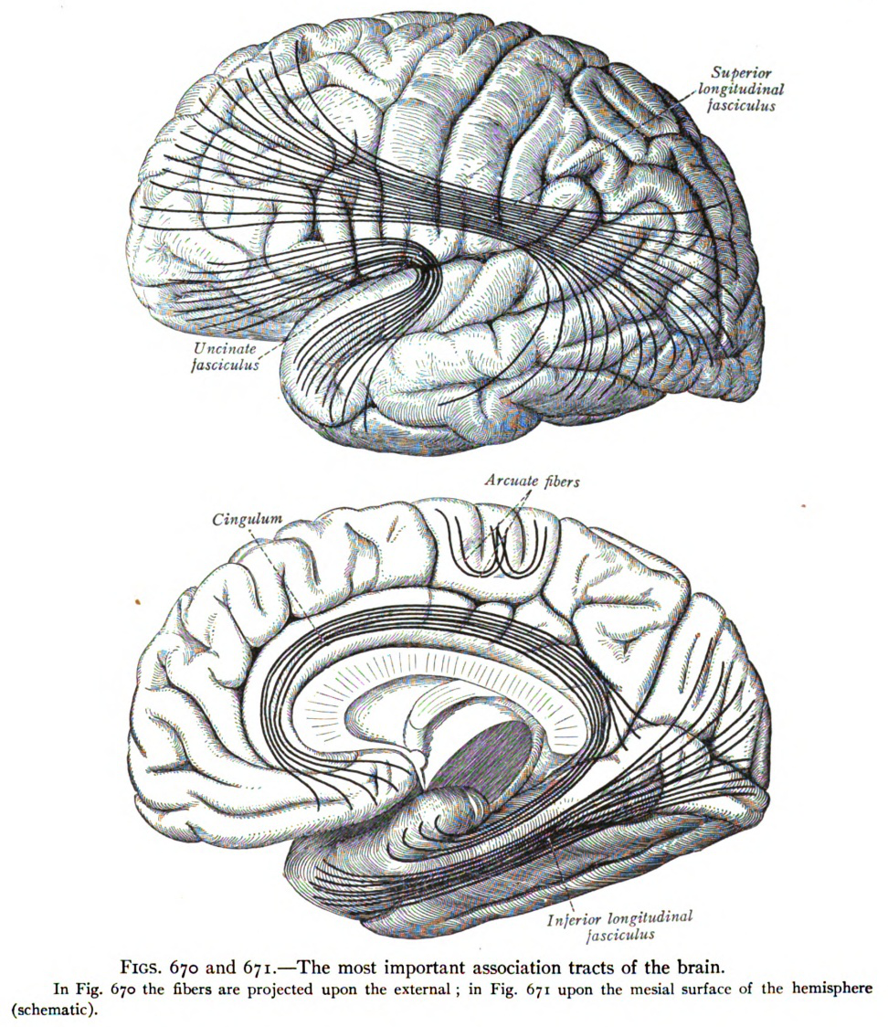 Fasciculus:Braga-mapa mediaval.jpg - Vicipaedia