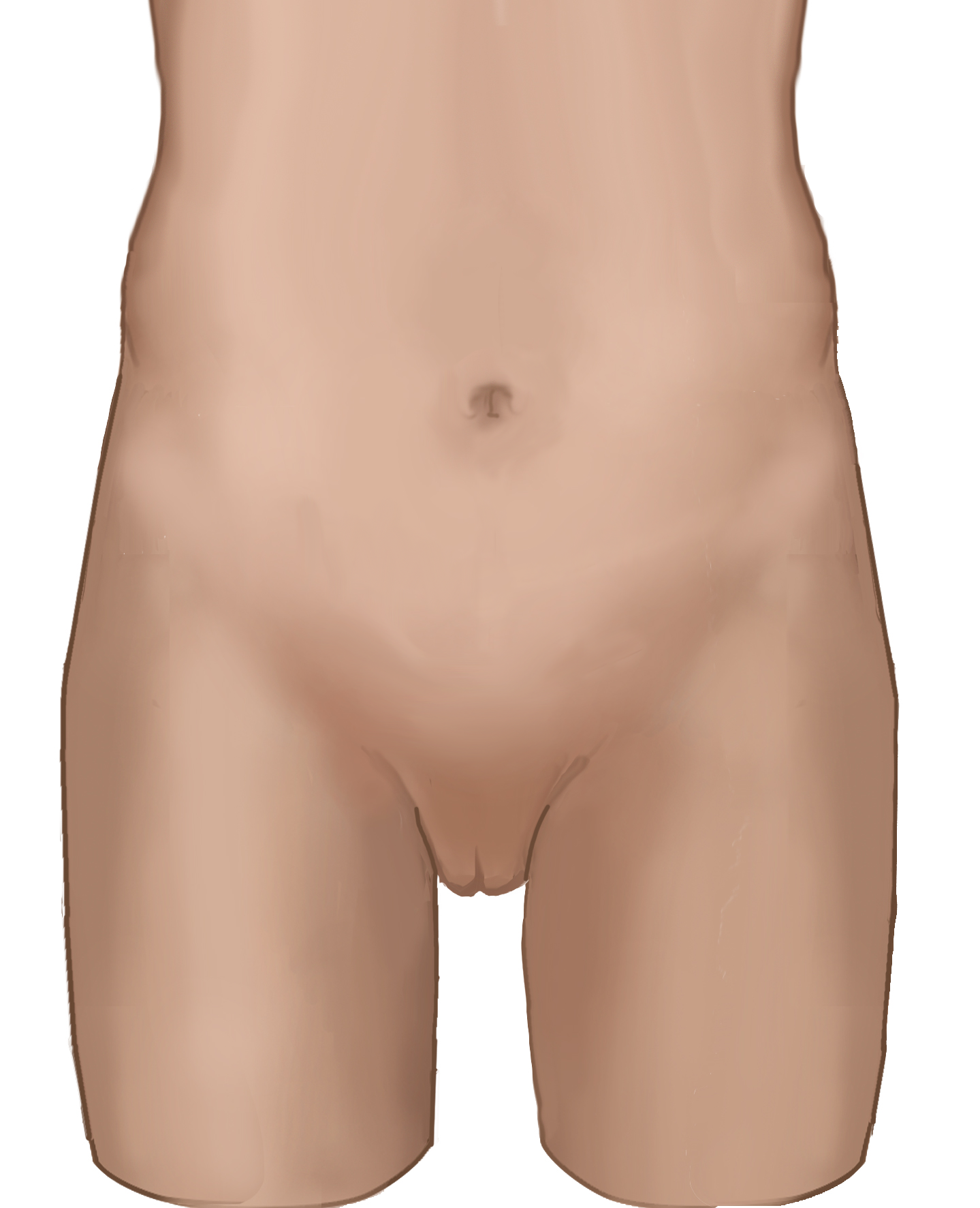 Drawing plain abdomen, inguinal area and upper part of the thighs – no labels