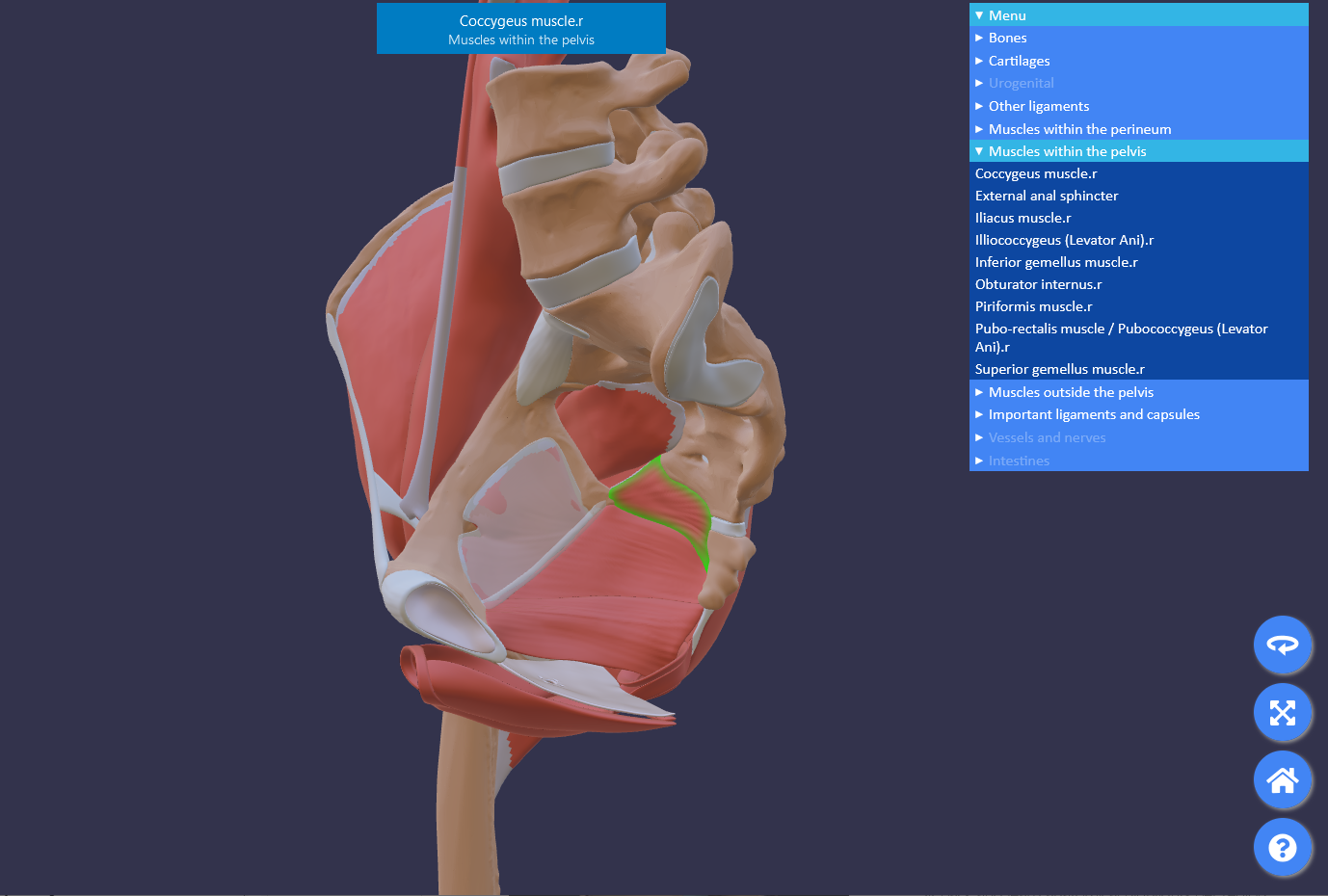 Open 3D model in online viewer