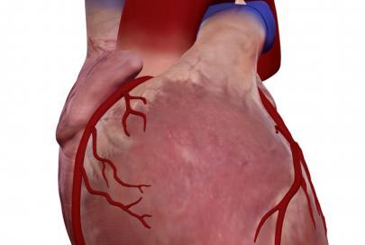 Blood Flow Through Heart Quiz