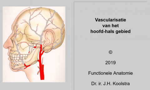 Vascularisatie van het hoofdhals gebied AnatomyTOOL